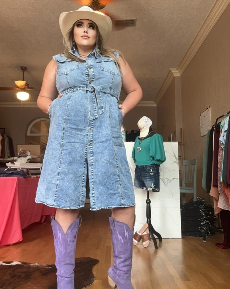 Sleeveless Button Down Dress (Plus)