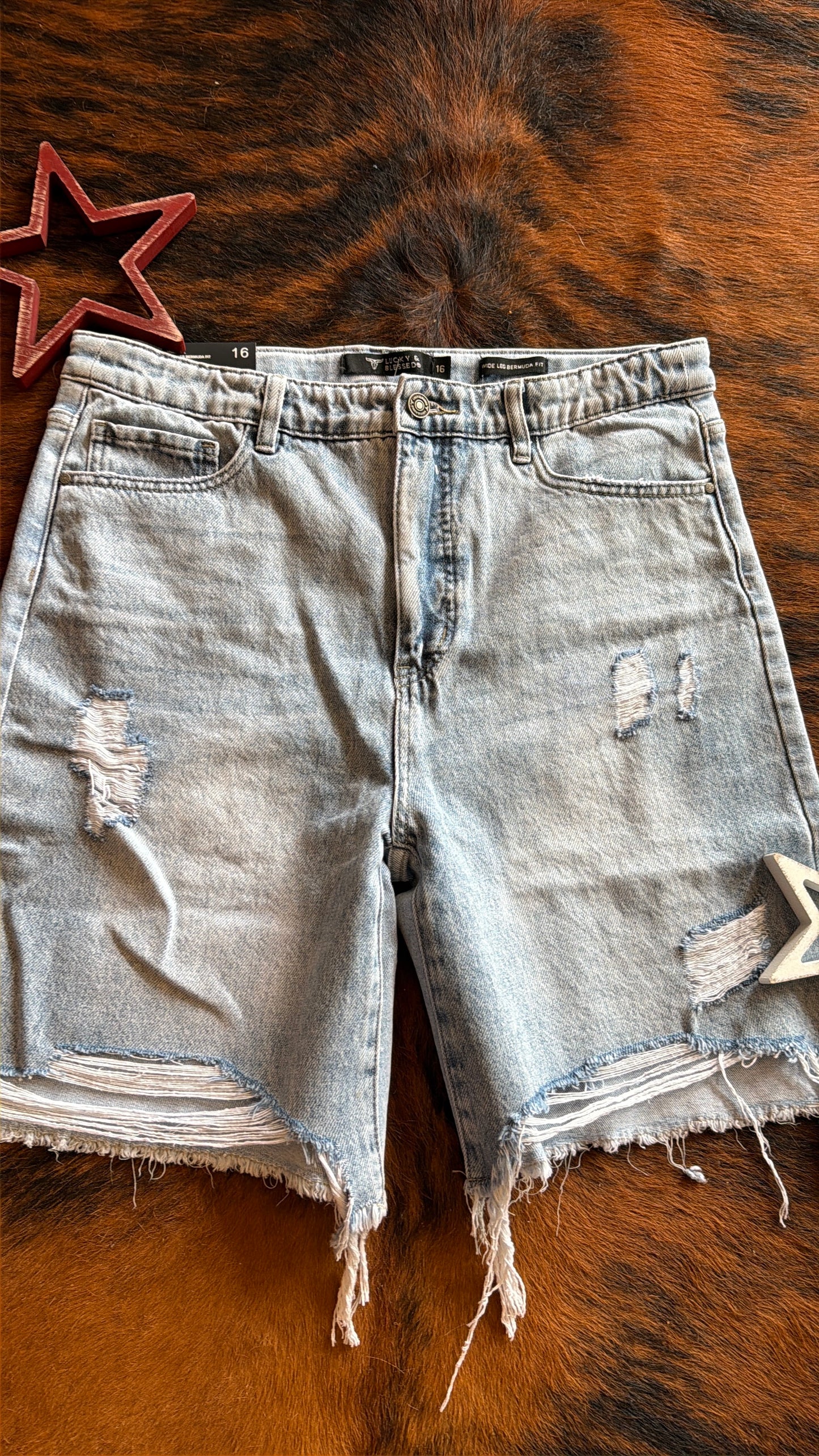High Rise Light Wash Shorts